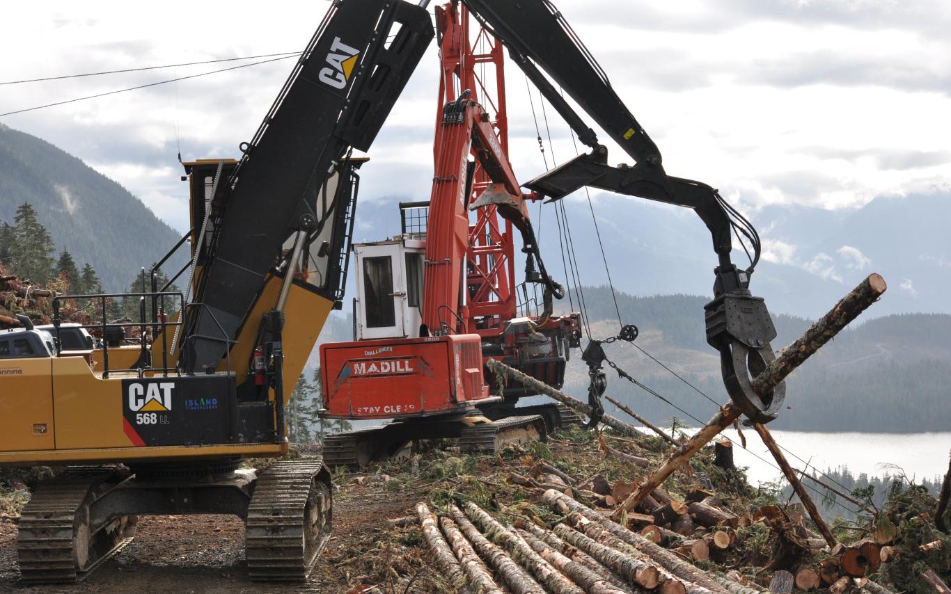 Fundamentals of Forest Harvesting Practices